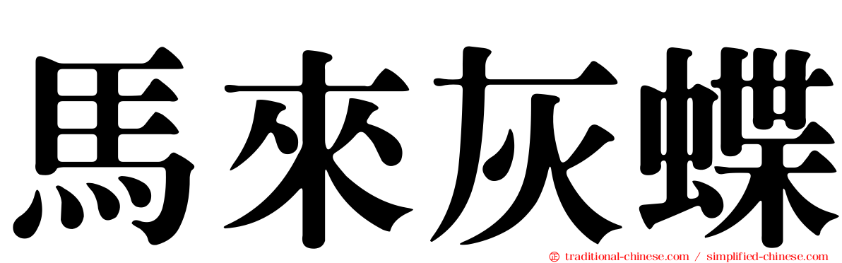 馬來灰蝶