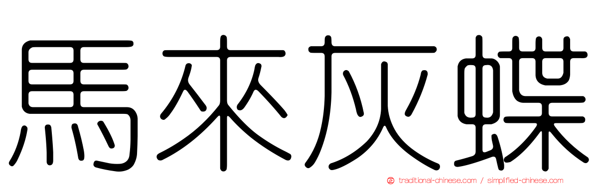 馬來灰蝶