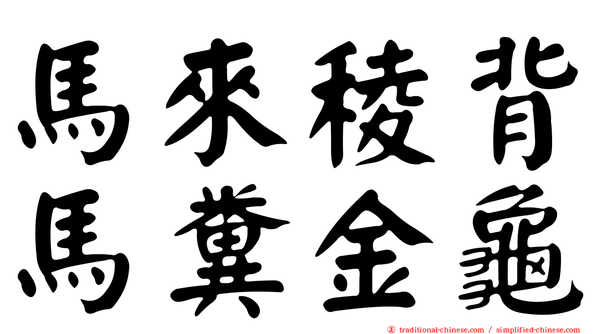 馬來稜背馬糞金龜