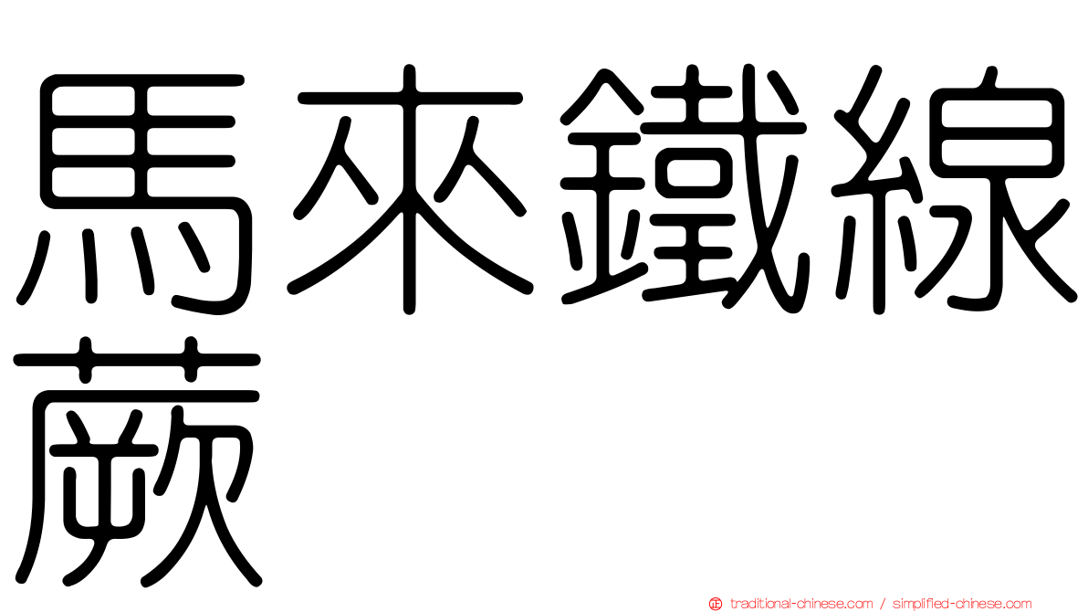 馬來鐵線蕨