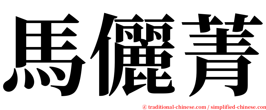 馬儷菁 serif font