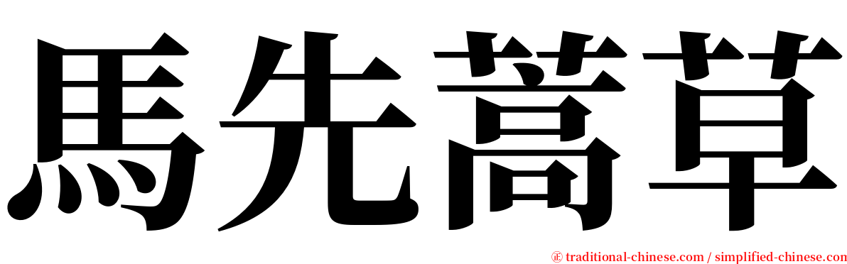 馬先蒿草 serif font