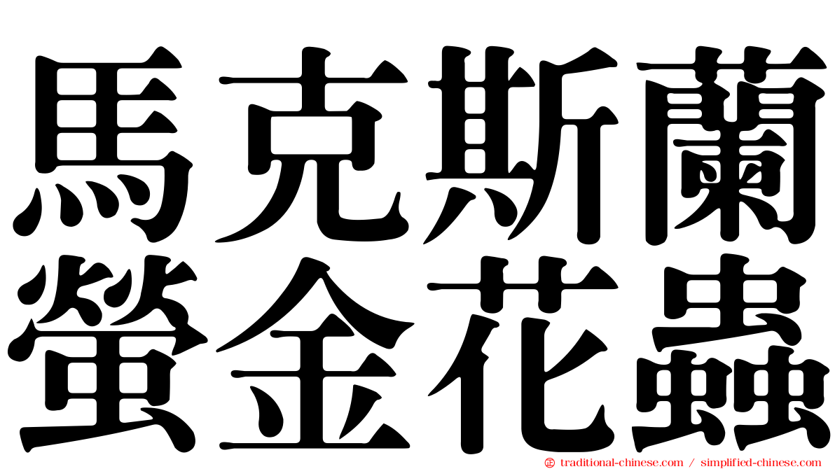 馬克斯蘭螢金花蟲