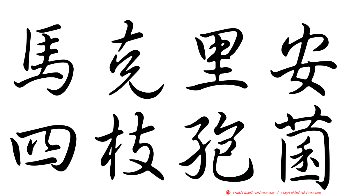 馬克里安四枝孢菌