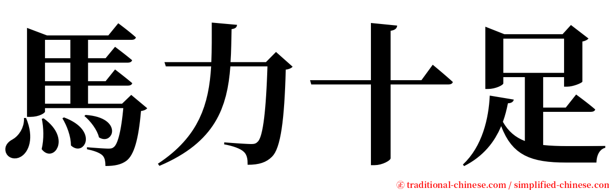 馬力十足 serif font