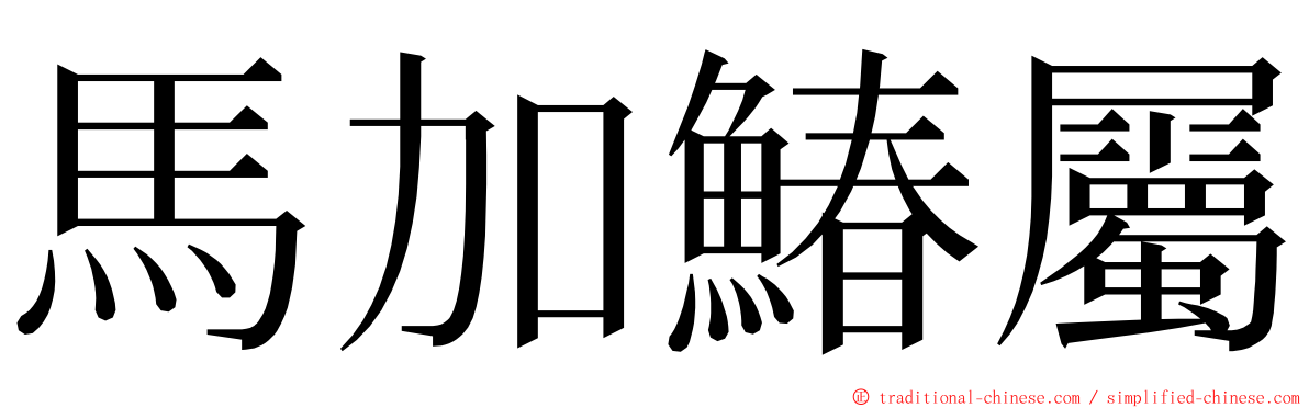 馬加鰆屬 ming font