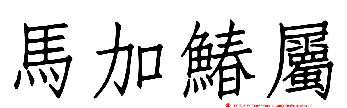 馬加鰆屬