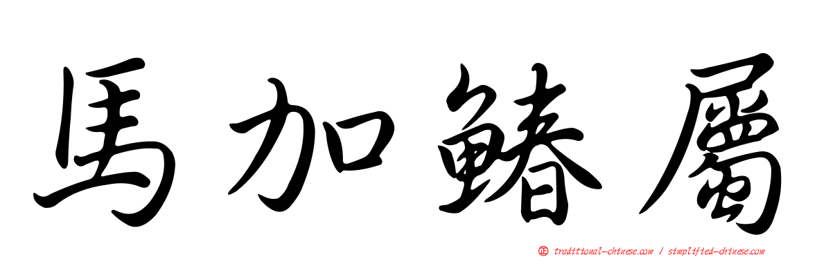 馬加鰆屬