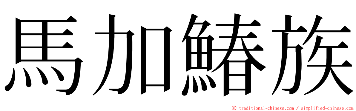 馬加鰆族 ming font