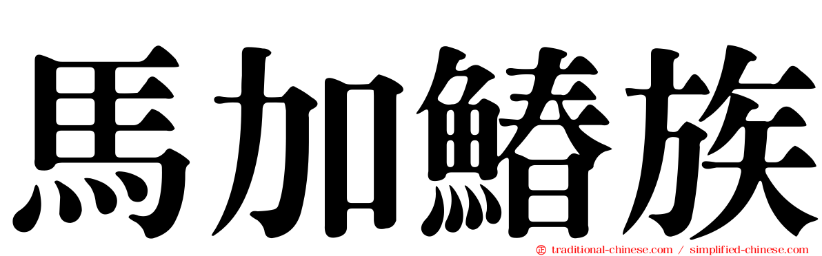 馬加鰆族
