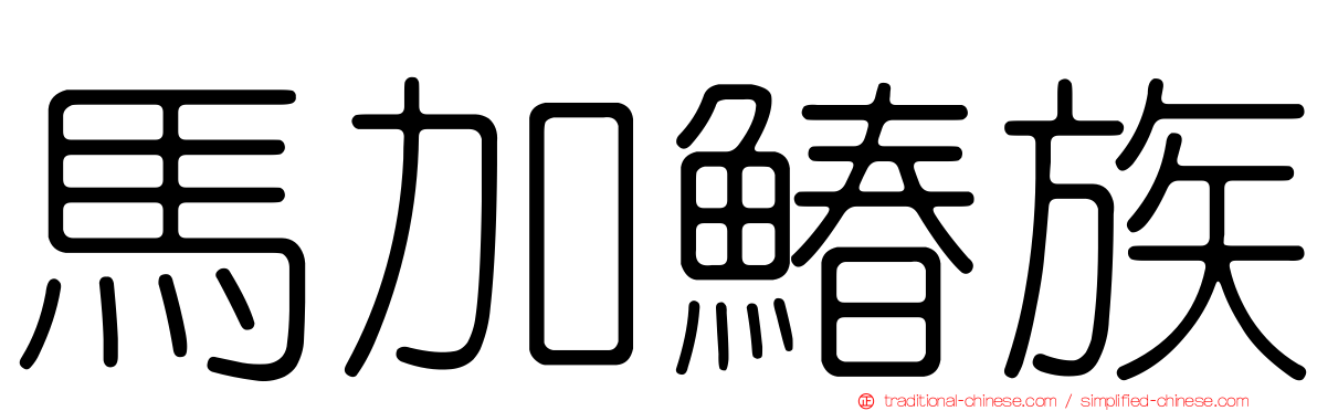 馬加鰆族