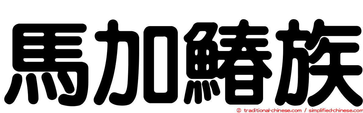 馬加鰆族