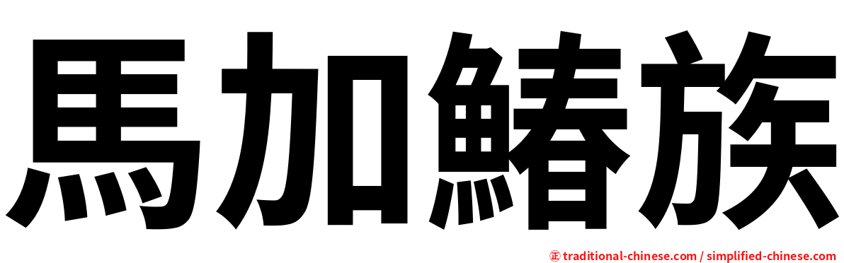 馬加鰆族