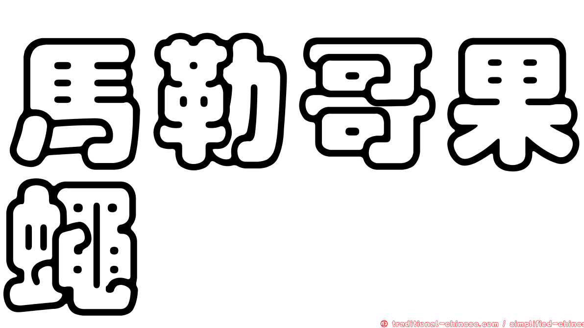 馬勒哥果蠅