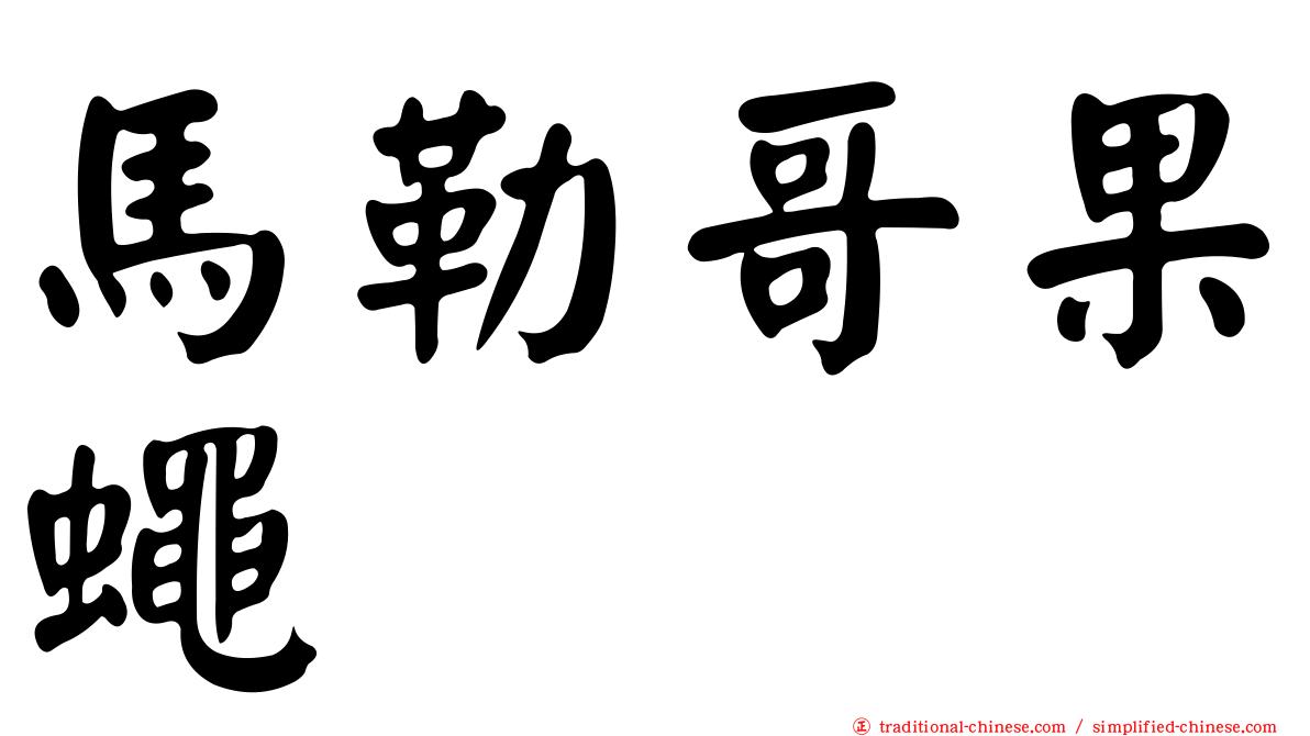 馬勒哥果蠅