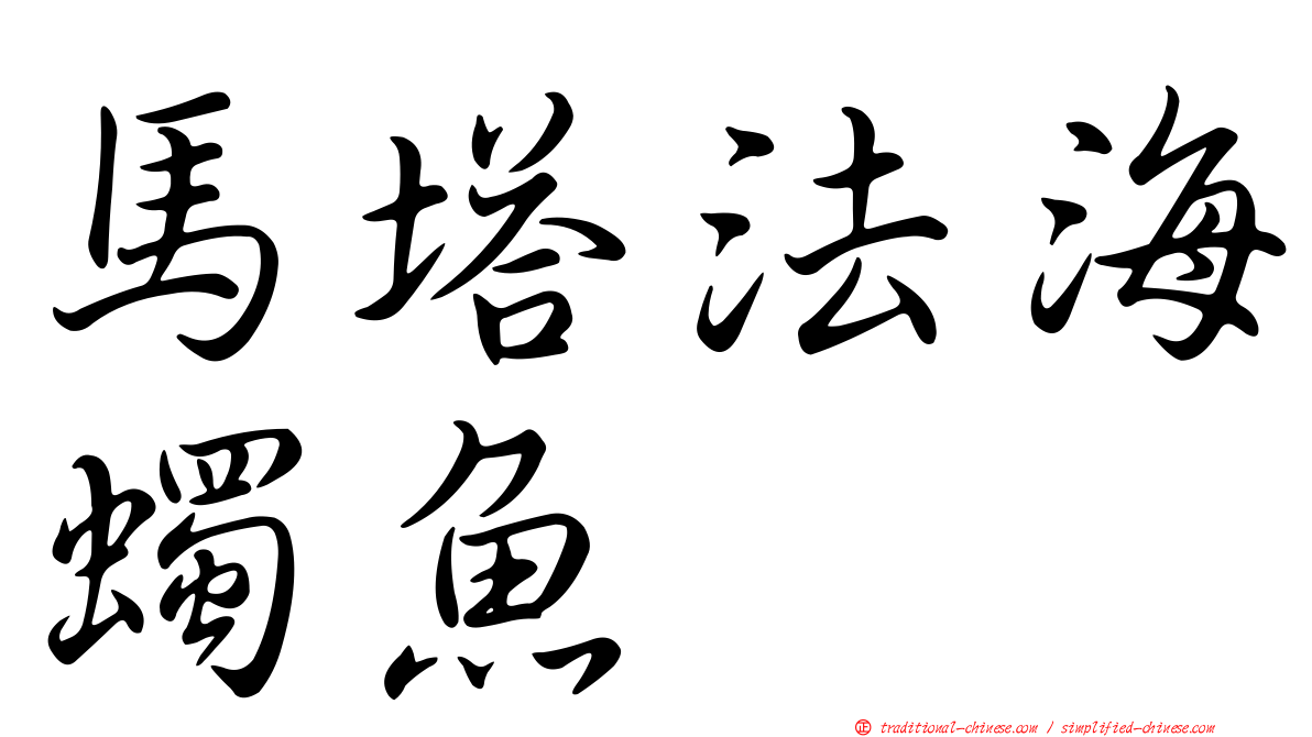 馬塔法海蠋魚