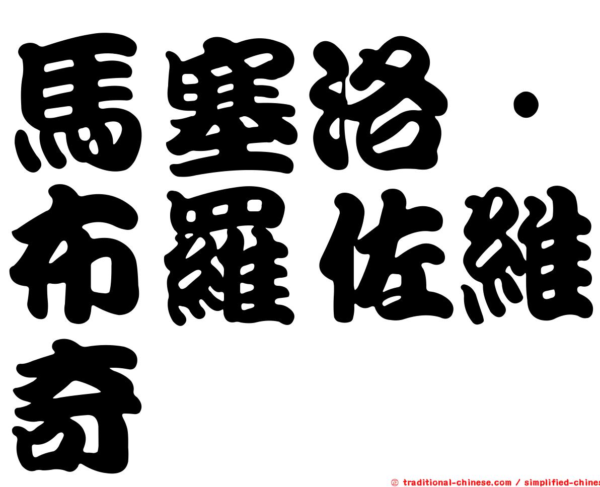 馬塞洛·布羅佐維奇