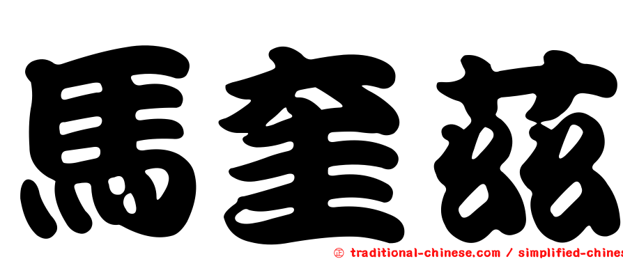 馬奎茲