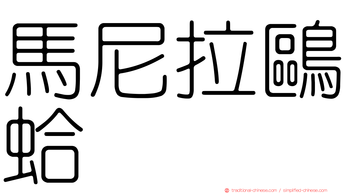 馬尼拉鷗蛤