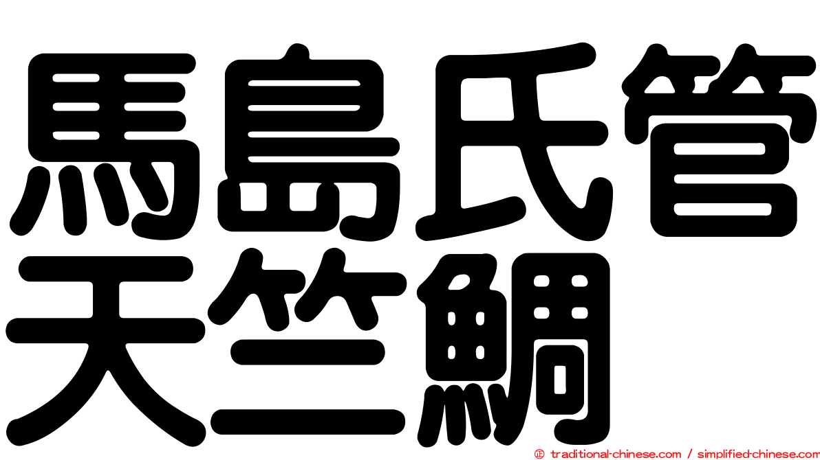 馬島氏管天竺鯛