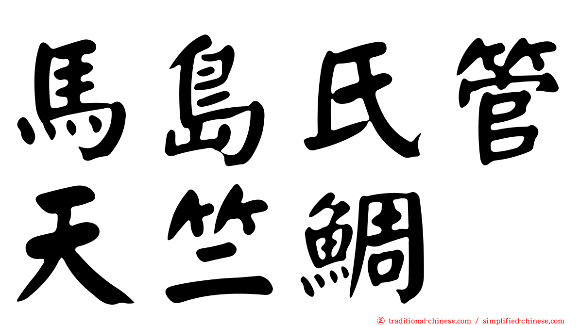 馬島氏管天竺鯛