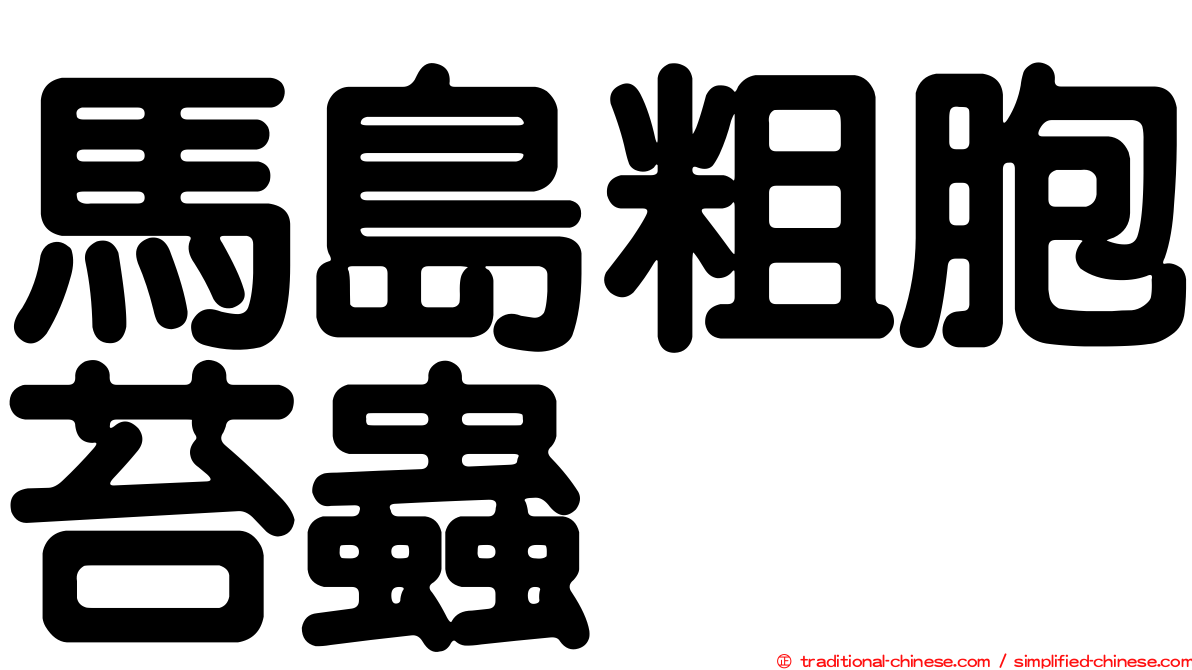 馬島粗胞苔蟲