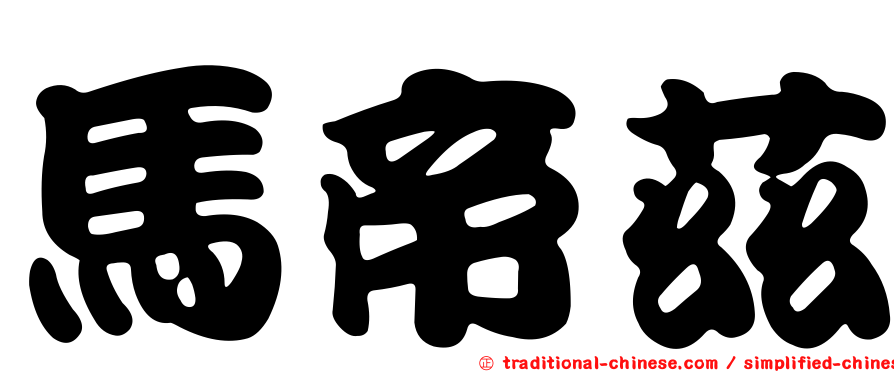 馬帝茲