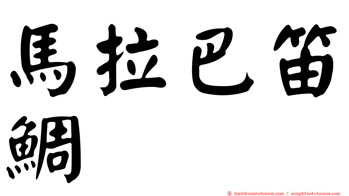 馬拉巴笛鯛