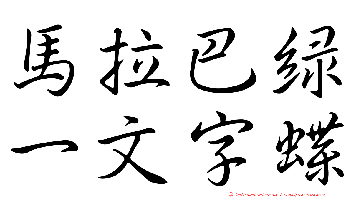 馬拉巴綠一文字蝶