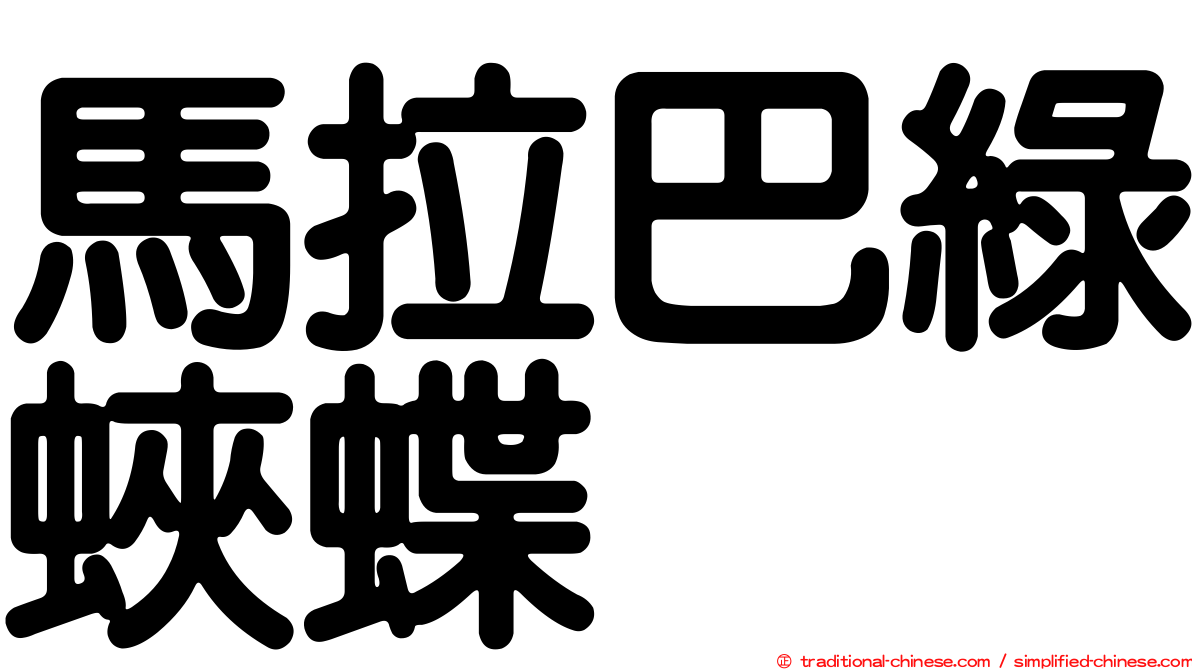 馬拉巴綠蛺蝶