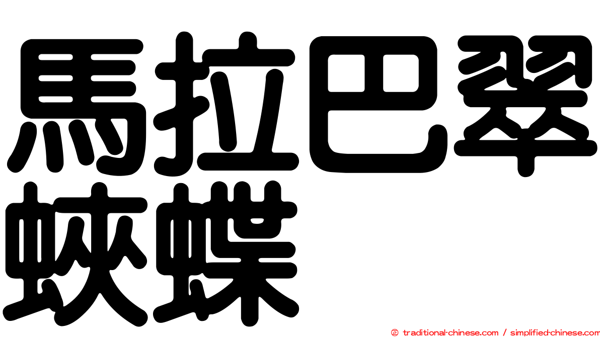 馬拉巴翠蛺蝶