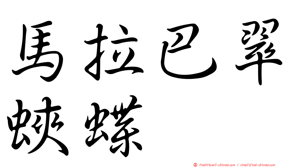 馬拉巴翠蛺蝶