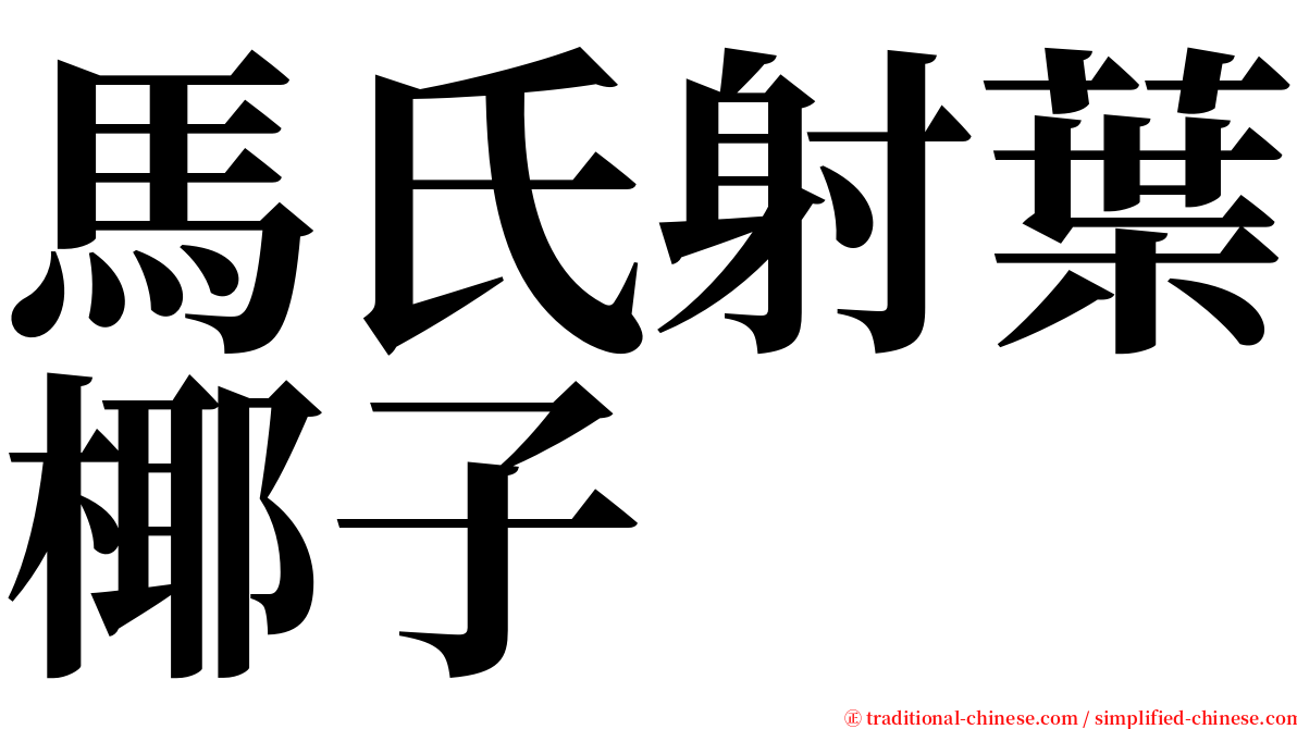 馬氏射葉椰子 serif font