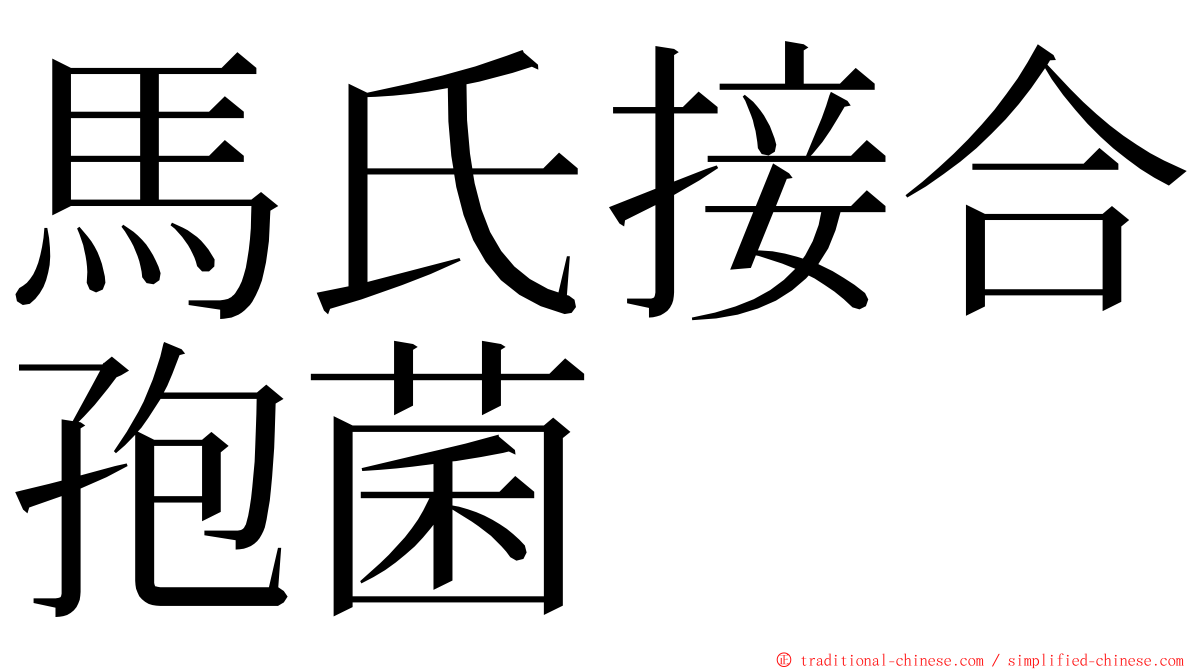 馬氏接合孢菌 ming font