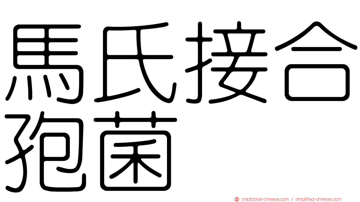 馬氏接合孢菌