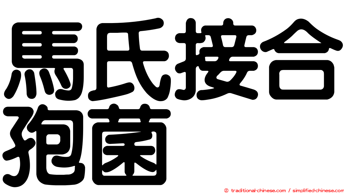 馬氏接合孢菌