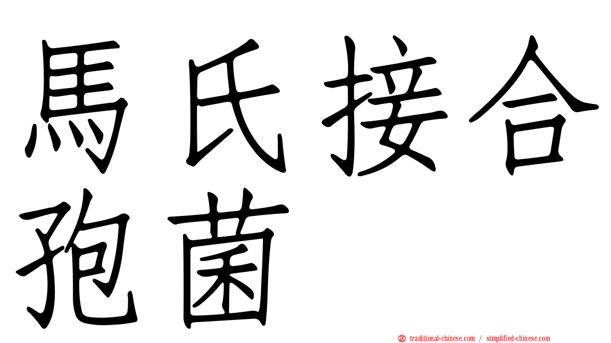 馬氏接合孢菌
