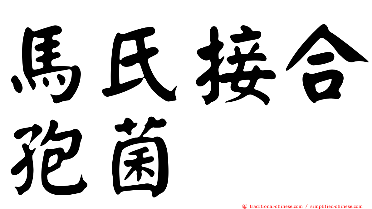馬氏接合孢菌