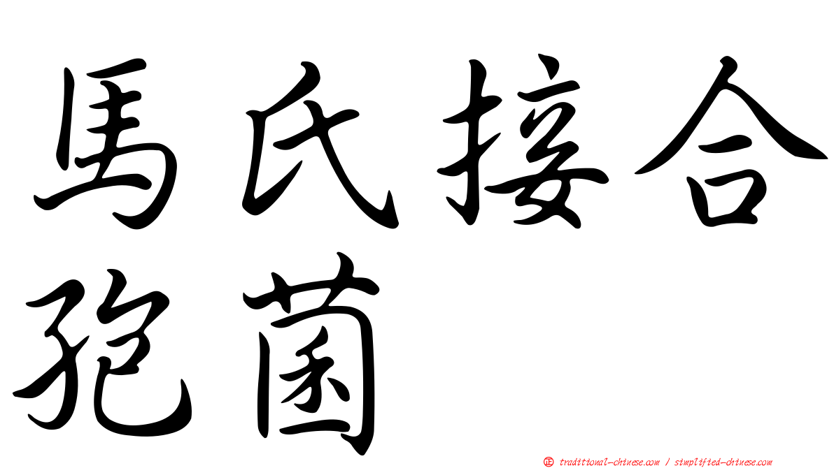 馬氏接合孢菌
