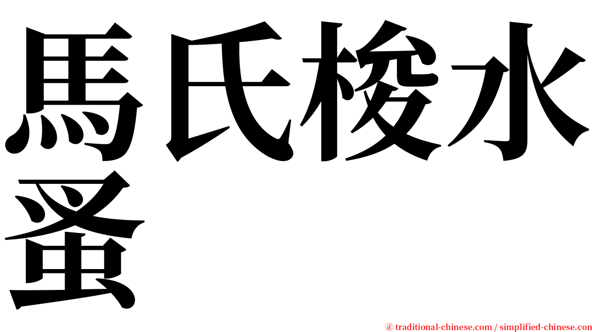 馬氏梭水蚤 serif font