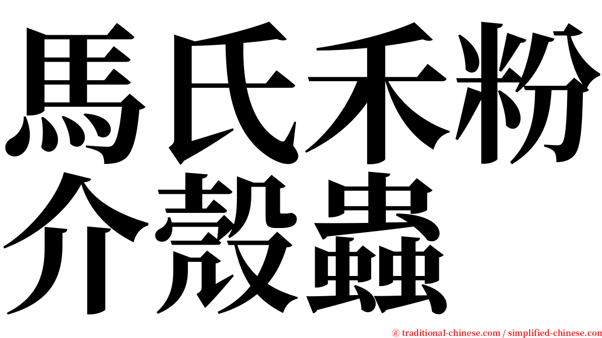 馬氏禾粉介殼蟲 serif font