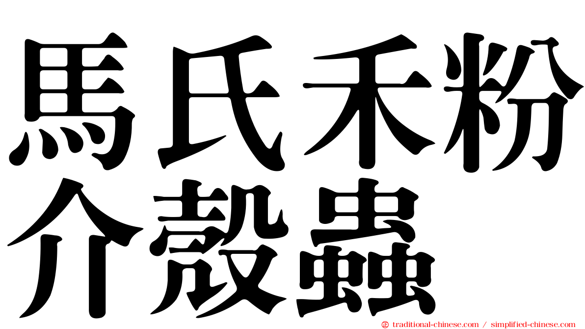 馬氏禾粉介殼蟲