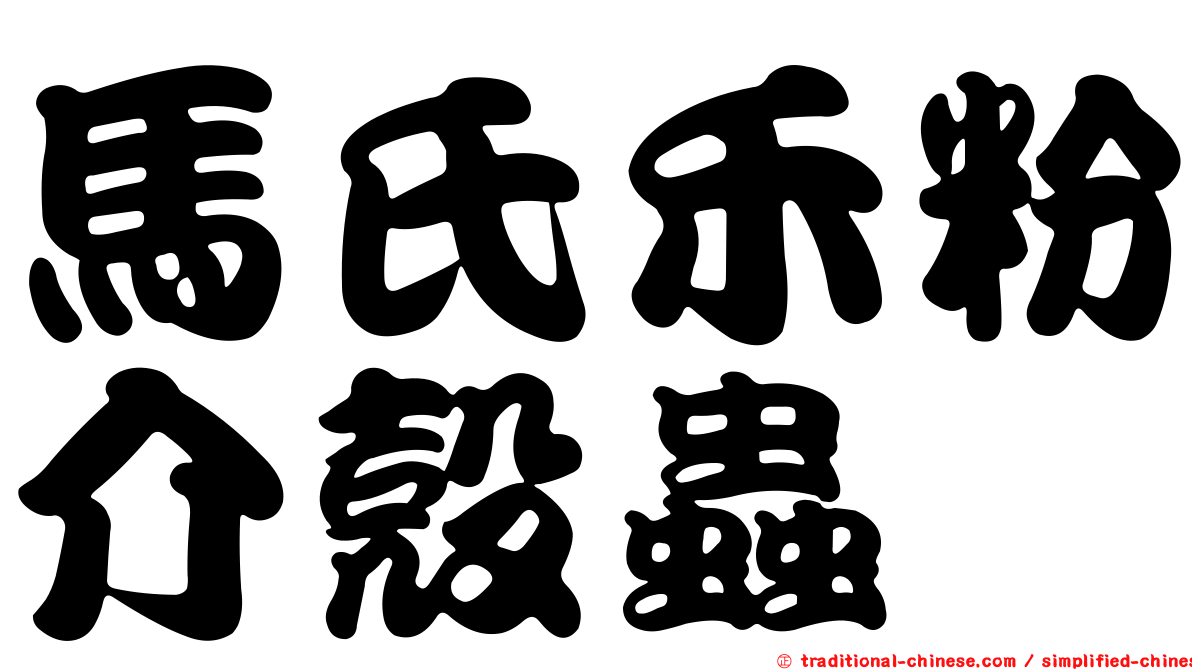 馬氏禾粉介殼蟲