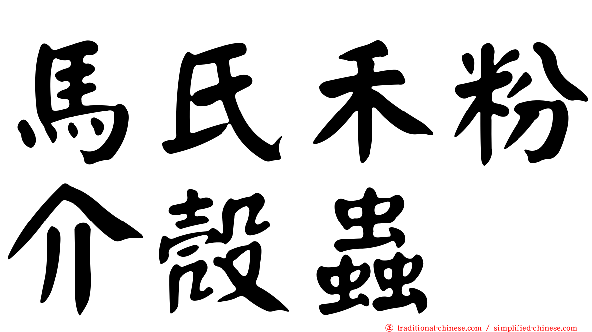 馬氏禾粉介殼蟲