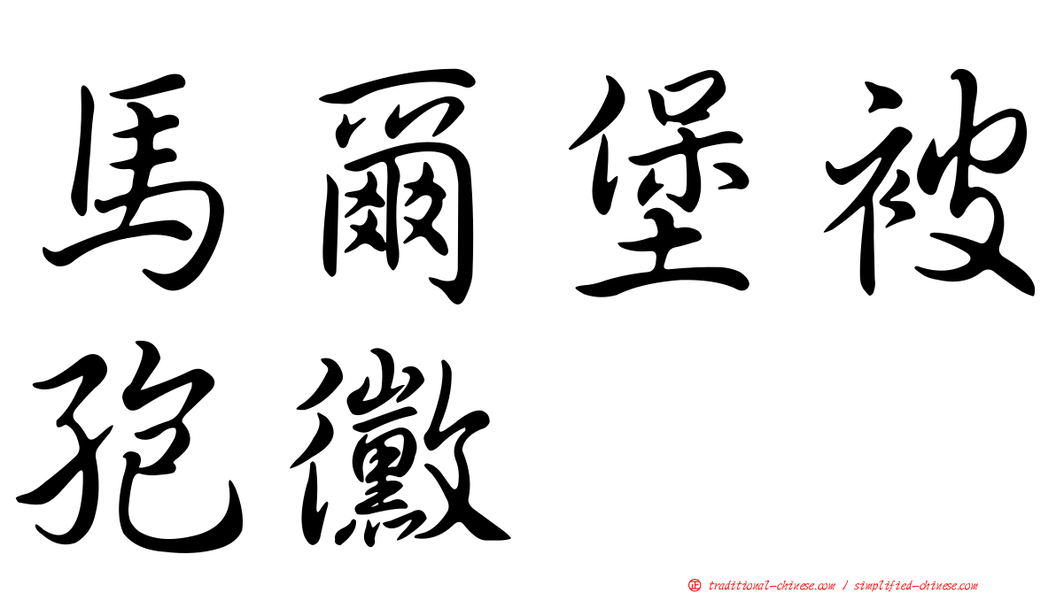 馬爾堡被孢黴