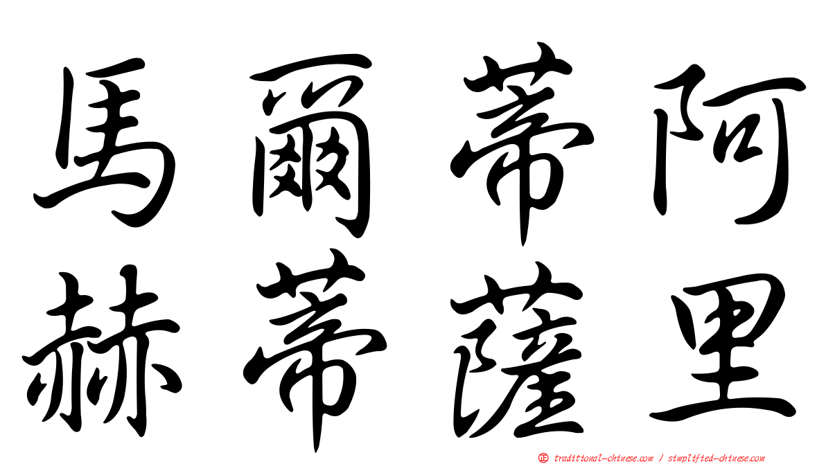 馬爾蒂阿赫蒂薩里