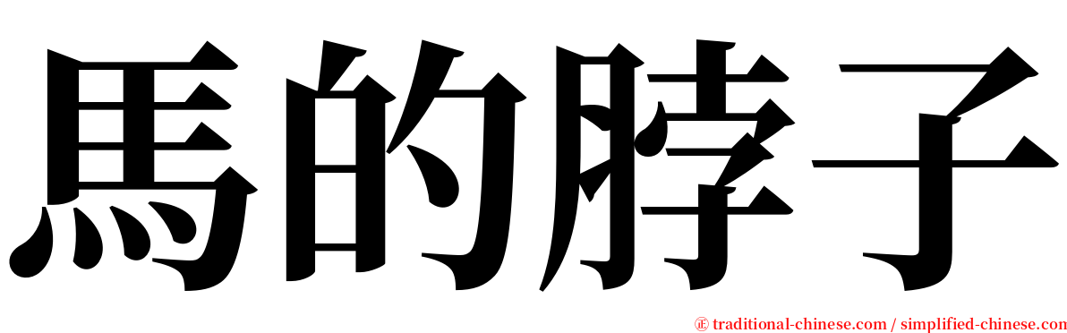 馬的脖子 serif font
