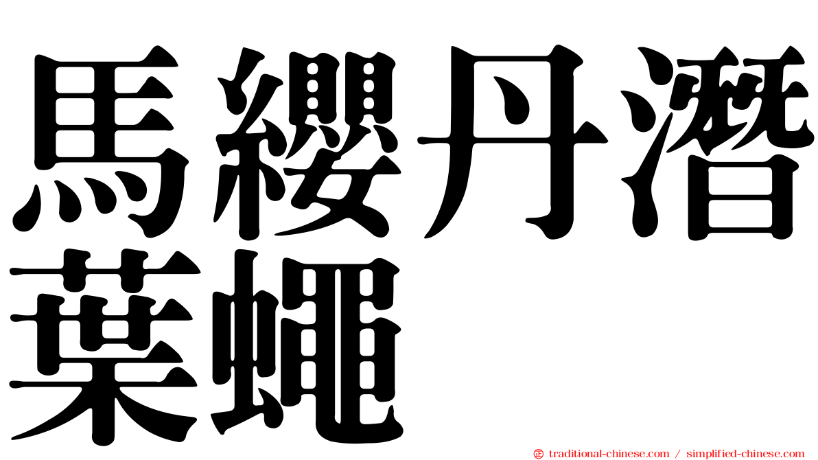 馬纓丹潛葉蠅