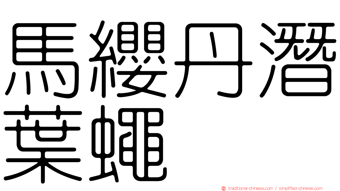 馬纓丹潛葉蠅