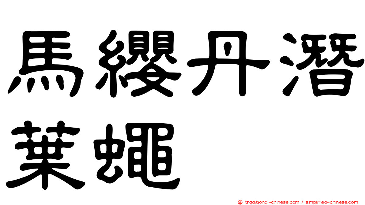 馬纓丹潛葉蠅